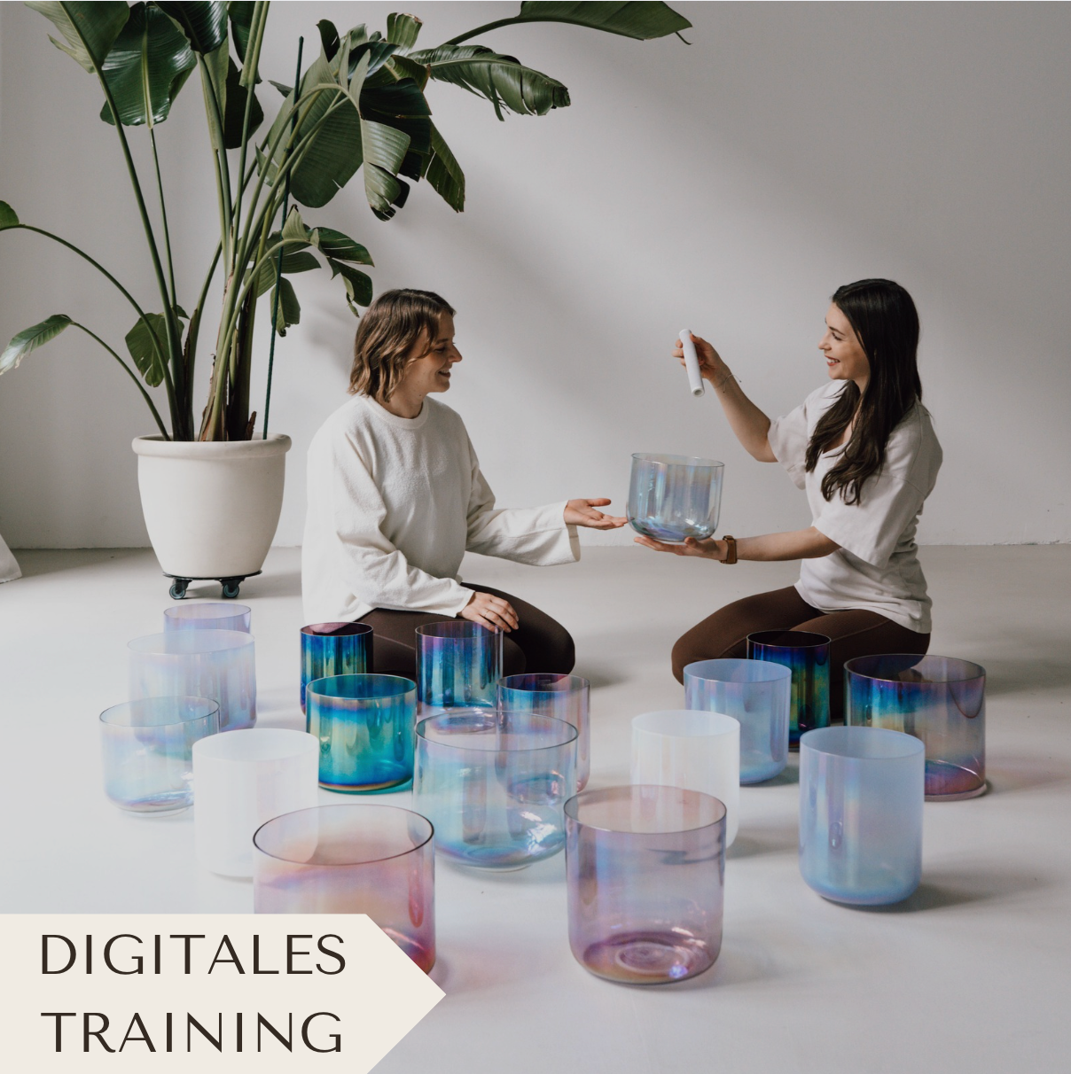 Senti Sound Practitioner Training. Das beste Training für alle, die Sound Meditation mit Kristallklangschalen erlernen möchten.