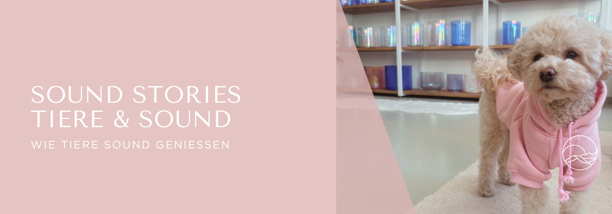 Tiere und Sound mit Kristallklangschalen 