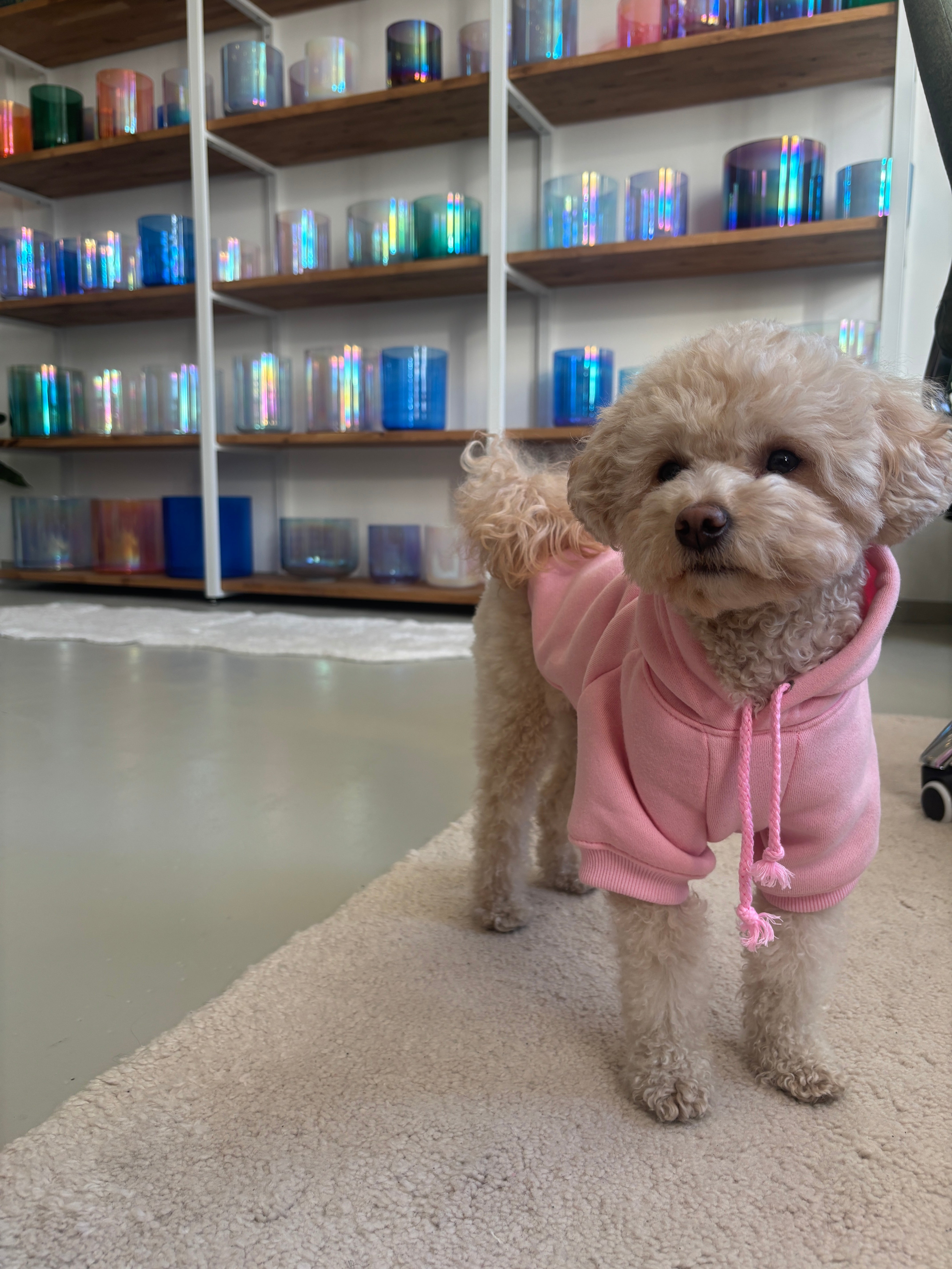 Lexi vom Senti Bowls Team im Senti Bowls Showroom