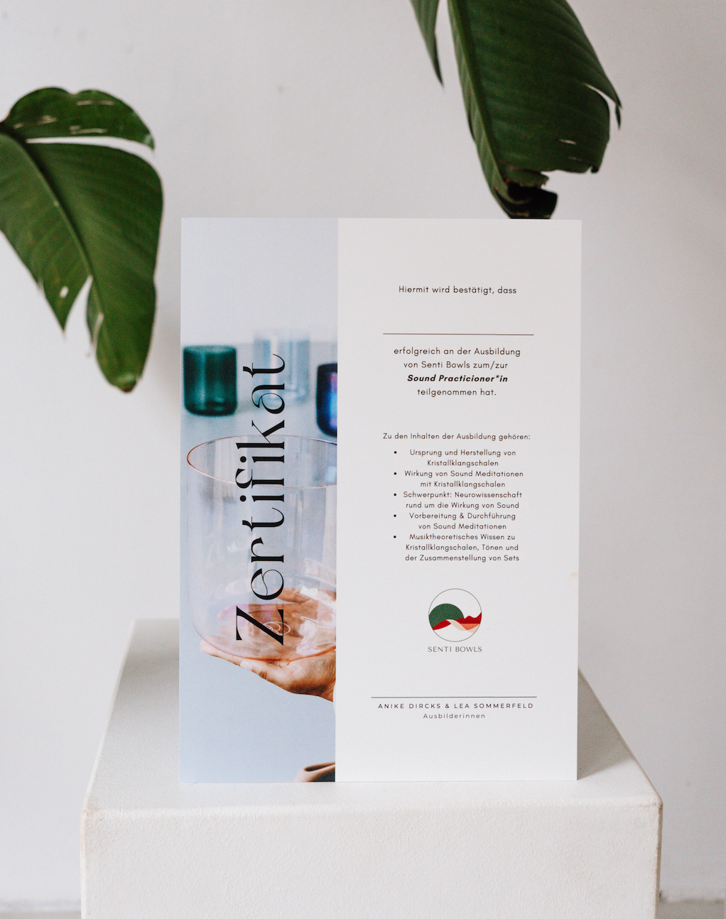 Bei den Sound Trainings von Senti Bowls erhältst du auch ein Zertifikat